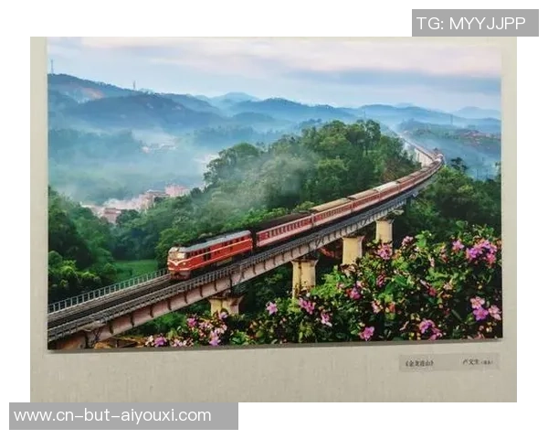 巴塔米戴拿模与舒库拉的精彩对决揭示了现代搏击的魅力与技术之美 巴塔米戴拿模与舒库拉的精彩对决揭示了现代搏击的魅力与技术之美